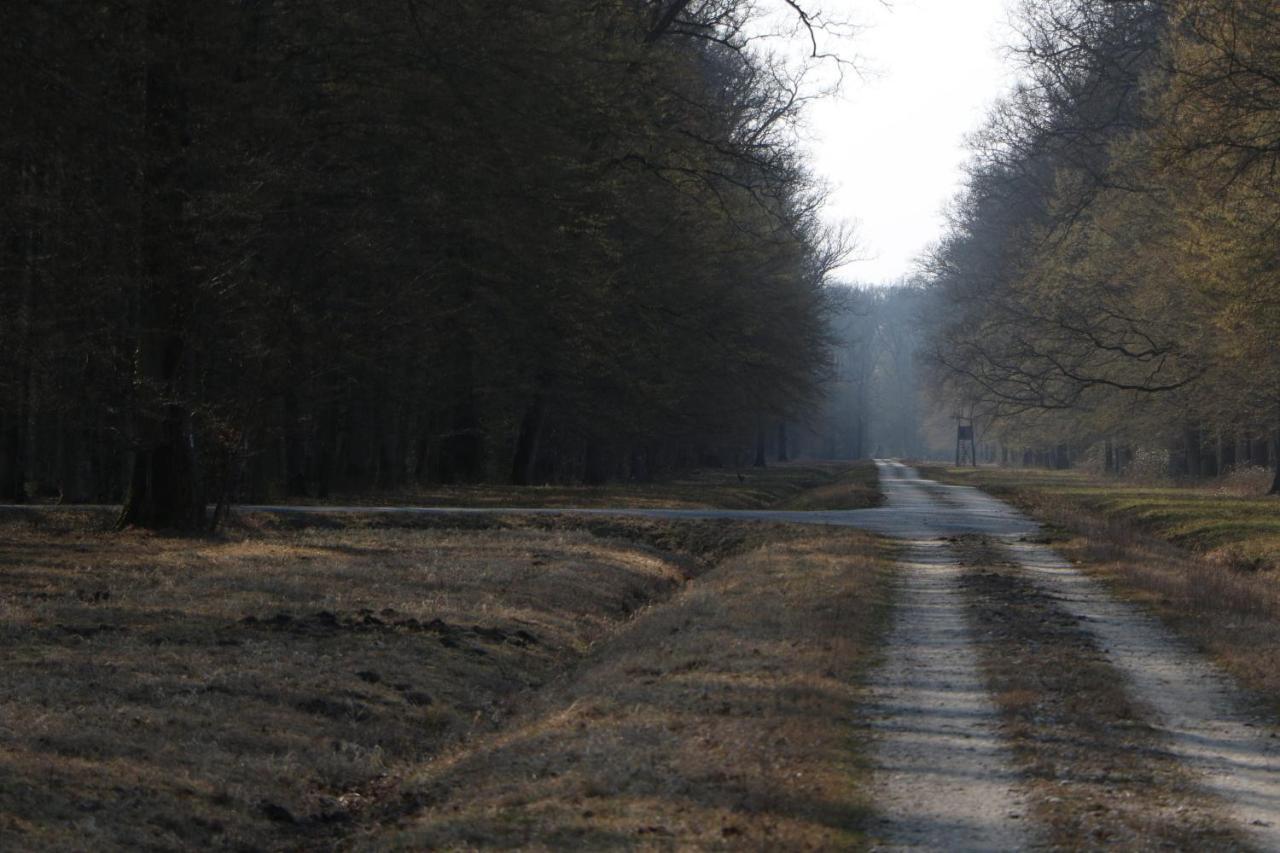 Апартаменты Sobe Pilajevo 2, 183 Ulica Stjepana Radica, Gola Экстерьер фото