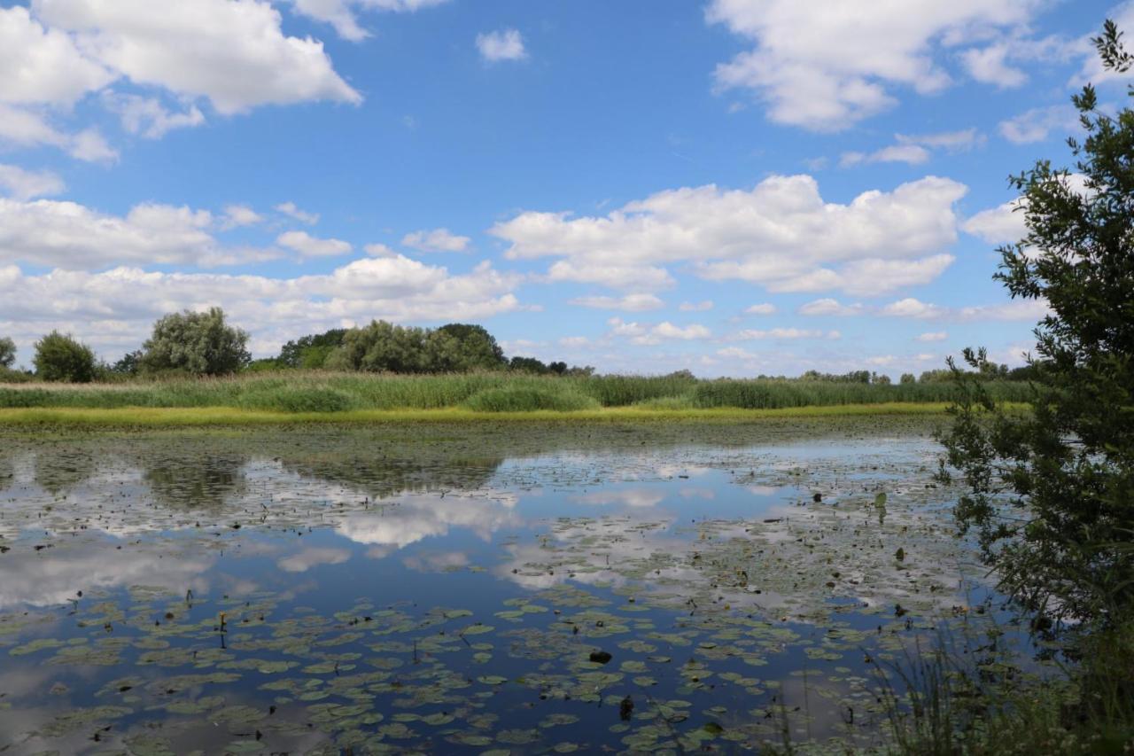 Апартаменты Sobe Pilajevo 2, 183 Ulica Stjepana Radica, Gola Экстерьер фото